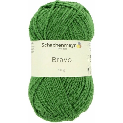 Schachenmayr Bravo 08191 zelená