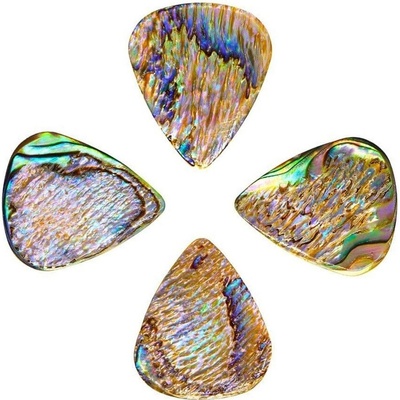 Timber Tones Abalone Tones Paua Abalone 4-Pack