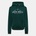 Jack Wills Суичър Jack Wills Hunston Graphic Logo Hoodie - Dark Green
