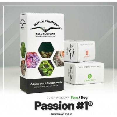 Dutch Passion Passion 1 semena neobsahují THC 10 ks