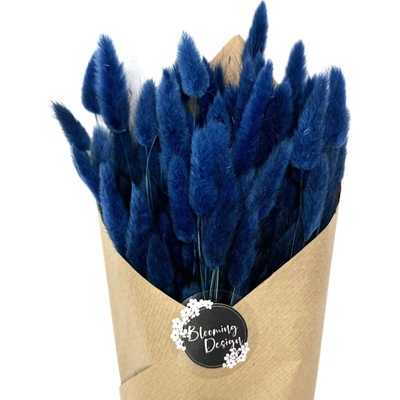 Sušený lagurus (králičí ocásek) tmavě modrý NAVY 45g