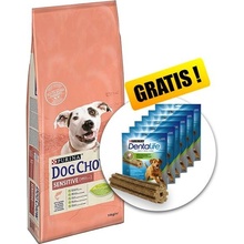 Purina Dog Chow Sensitive losos & rýže 14 kg