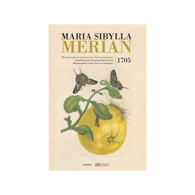 Maria Sibylla Merian. Metamorphosis Insectorum Surinamensium Merian Maria Sibylla