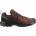 Salomon Exeo gtx 46