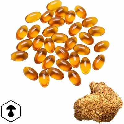 LifeChi Korálovec ježatý (Hericium erinaceus) HeriCore DHA/MCT 1,5% hericenonů + hericenů 100 softgel kapslí