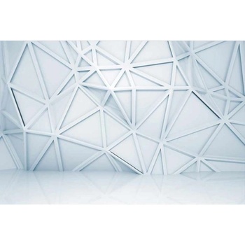 DIMEX ART s. r. o Флизелинов фототапет 3d релеф 375 x 250 см