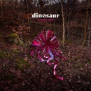 Dinosaur - Wonder Trail CD