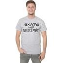 Thrasher Skate & Destroy lt gry