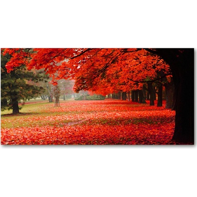 Foto obraz sklo tvrzené stromy jeseň 100x50 cm