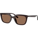 Ray-Ban RB4439D 623173