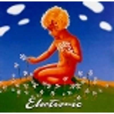 Electronic: Raise The Pressure - 2Vinyl LP