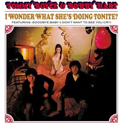 I Wonder What She's Doing Tonite? - Boyce and Hart LP