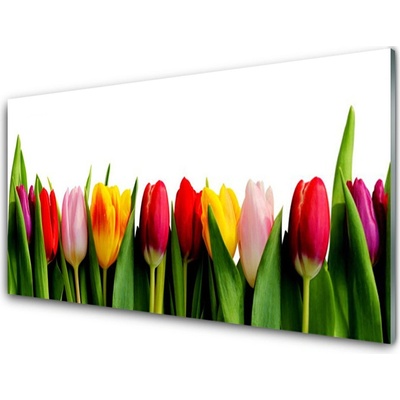 Obraz na skle Tulipány Rostlina 100x50 cm