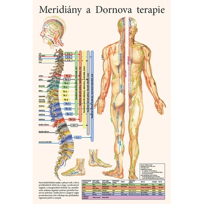 Nakladatelství Poznání Meridiány a dornova terapia - plagát