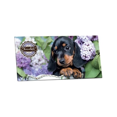 SELLLOT Hořká 60% s brusinkami 175 g