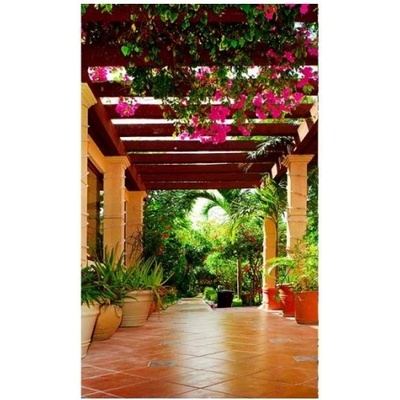 DIMEX ART Флизелинов фототапет тераса 150 x 250 см