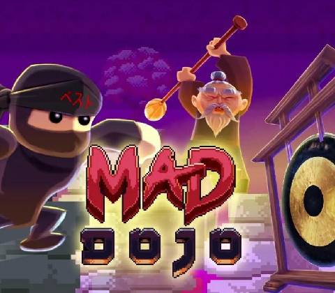 Mad Dojo