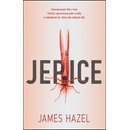 Jepice