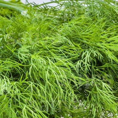 Bio kopr Tetra