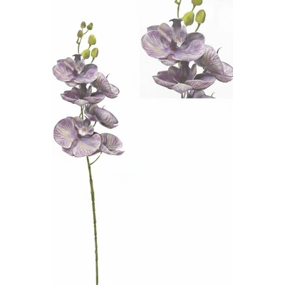 KS ORCHIDEA PHALAENOPSIS TMAVO-FIALOVÁ 72CM