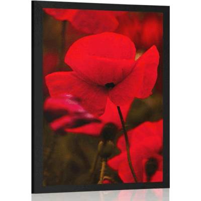 Plakát pole divokých máků - 20x30 silver