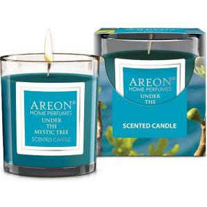 Areon Ароматна свещ Areon Classic - Under the Mystic Tree, 120 g (CR06_G01)