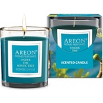 Areon Ароматна свещ Areon Classic - Under the Mystic Tree, 120 g (CR06_G01)