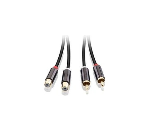 GoGEN 2CINCH250FM01