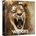 BOOM Library Wildcats