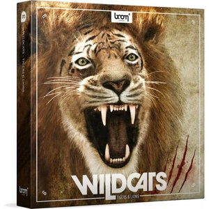 BOOM Library Wildcats