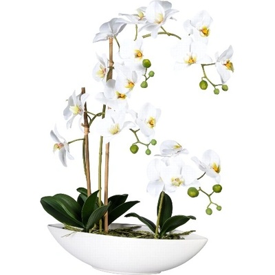 Umělá Orchidej Můrovec bílý v misce, 60cm