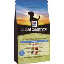 Hill’s Ideal Balance Puppy Chicken & Brown Rice 2 kg