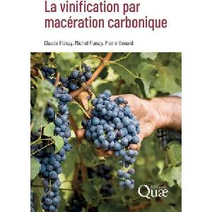 La vinification par macération carbonique | Benard, Flanzy, Flanzy (2024)