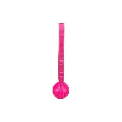 Trixie loptička s remienkom 27 cm