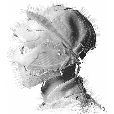 WOODKID: THE GOLDEN AGE CD