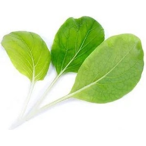 VÉritable (Франция) Пълнител (лингот) Bok choi Organic за настолна градина Véritable® - салата Бок чой (VLIN-J10-Pok023)
