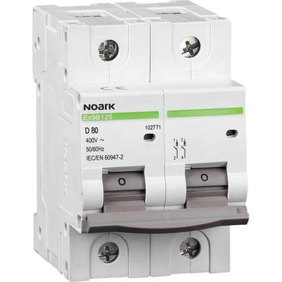 Noark 102745 Ex9B125 2P B20A
