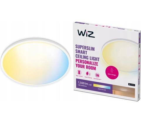 WiZ WI0042