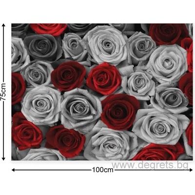 Картина Канава Рози червено - сиви