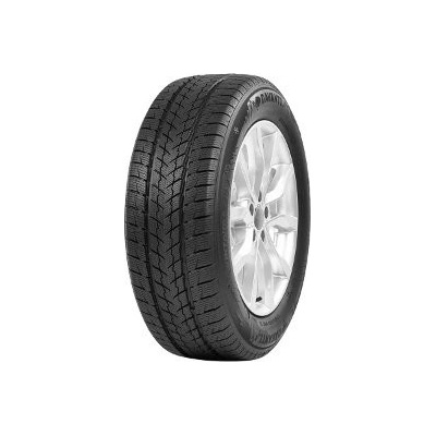 Davanti Wintoura 285/45 R19 111V