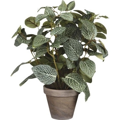 Umelá kvetina Fittonia 35 cm v kvetináči Ø11,5 cm