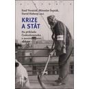 Krize a stát - kol.