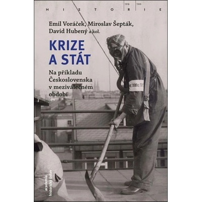 Krize a stát - kol.