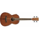 Ibanez PNB14E