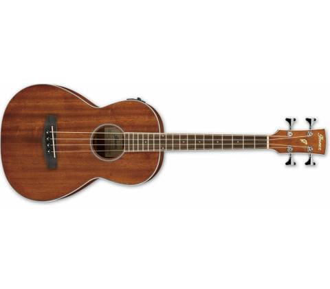 Ibanez PNB14E
