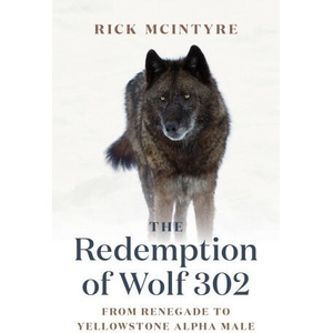 The Redemption of Wolf 302: From Renegade to Yellowstone Alpha Male (ISBN: 9781778400759)
