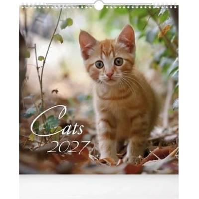 Nástěnný Cats 2027