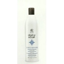 RR Line Diamond Star šampón 350 ml