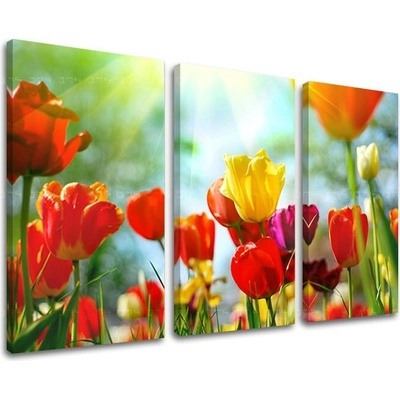 Obraz na stenu KVETY - 90x60