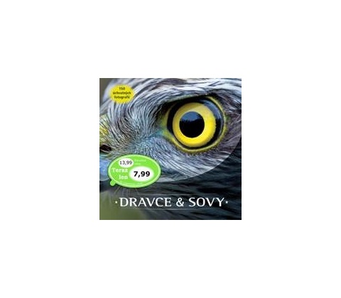 Dravce a sovy